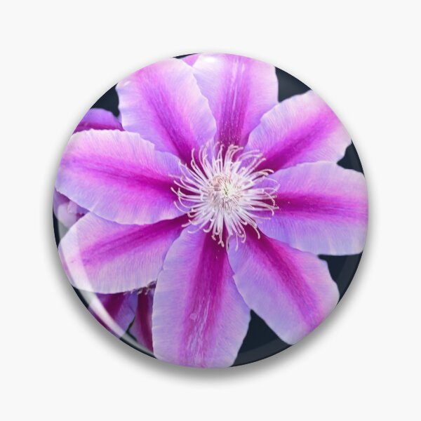 Item preview, Purple Clematis  designed and sold by Amanda1775.