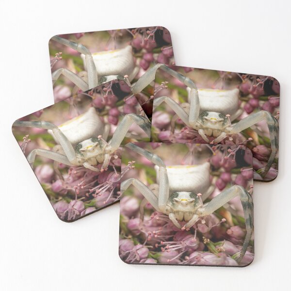 Item preview, Face to Face — White Crab Spider on Pink Flowers designed and sold by Rabee Khalil Photography.