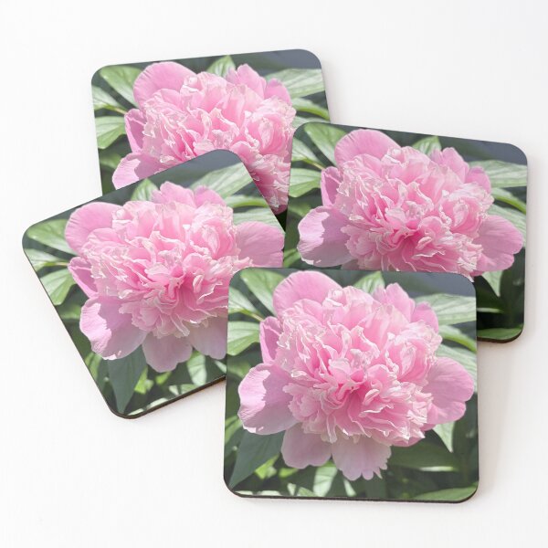 Item preview, Pink Peony 2 Photograph designed and sold by Shannon Greve.