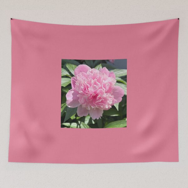 Item preview, Pink Peony 2 Photograph designed and sold by Shannon Greve.