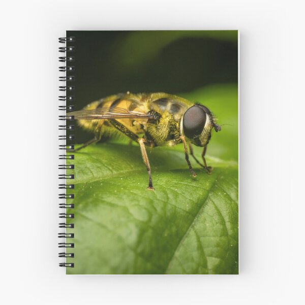 Item preview, Pollen-Covered Hoverfly — Macro Pollinator Portrait designed and sold by Rabee Khalil Photography.