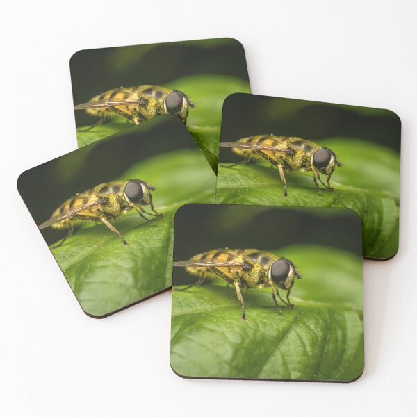 Item preview, Pollen-Covered Hoverfly — Macro Pollinator Portrait designed and sold by Rabee Khalil Photography.