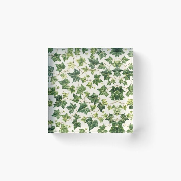 Item preview, Chinese Ivy Vine Botanical Pattern designed and sold by NaphDesigns.