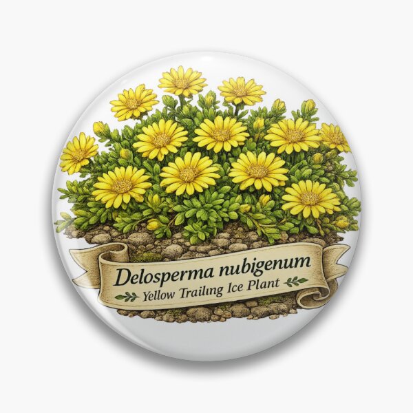 Item preview, Delosperma nubigenum - Yellow Trailing Ice Plant designed and sold by Myra365Art.
