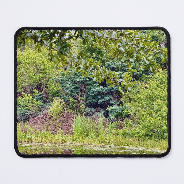 Item preview, Florida Jungle designed and sold by ROSENDE ART HOUSE.