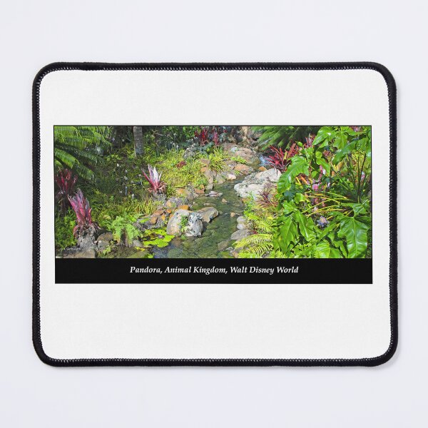 Item preview, Stream and Plant Life, Pandora, Animal Kingdom, Walt Disney World designed and sold by AMacGPhilly.