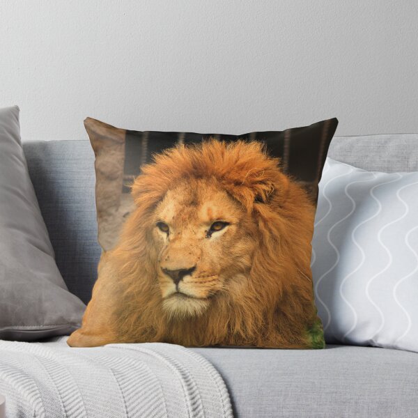 Aperçu de l'œuvre Male African Lion créée et vendue par rhamm.