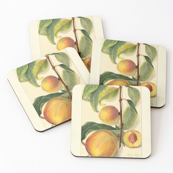 Item preview, Prunus Persica Peach Botanical Botanical Study designed and sold by Glimmersmith.