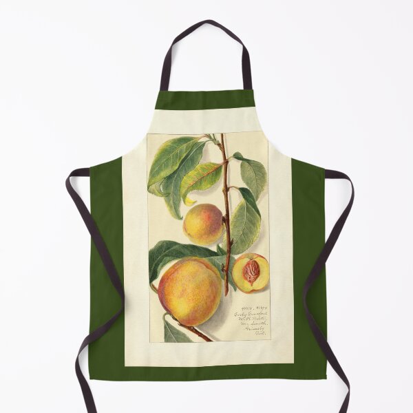 Item preview, Prunus Persica Peach Botanical Botanical Study designed and sold by Glimmersmith.