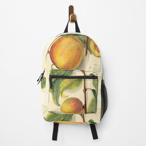 Item preview, Prunus Persica Peach Botanical Botanical Study designed and sold by Glimmersmith.
