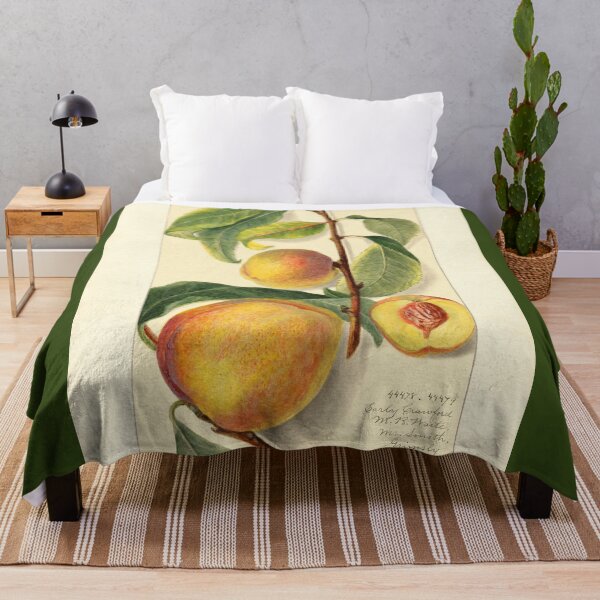 Item preview, Prunus Persica Peach Botanical Botanical Study designed and sold by Glimmersmith.
