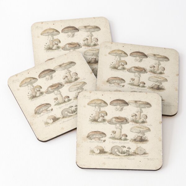 Item preview, Vintage Botanical Mushroom Scientific Illustration designed and sold by PictorialWhimsy.