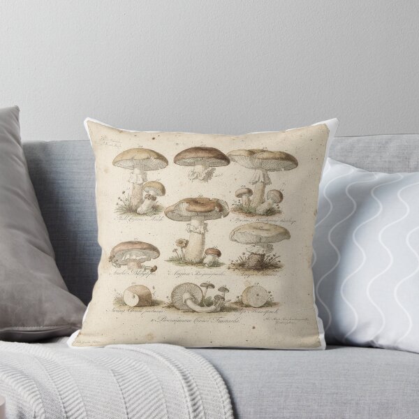 Item preview, Vintage Botanical Mushroom Scientific Illustration designed and sold by PictorialWhimsy.