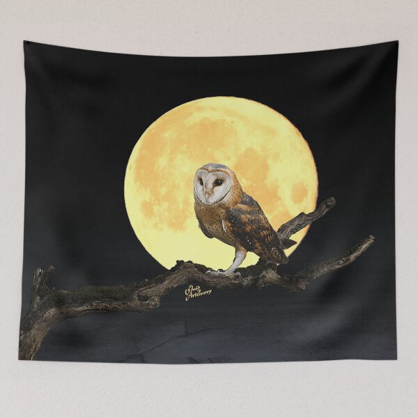 Item preview, Owl by Moonlight designed and sold by Fluid Artzworx.