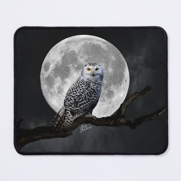 Item preview, Silver Owl designed and sold by Fluid Artzworx.