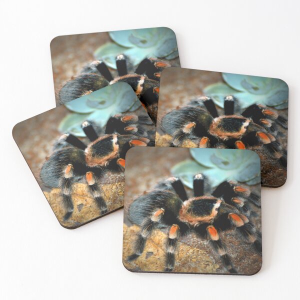 Item preview,  Tarantula designed and sold by Savannah Gibbs.