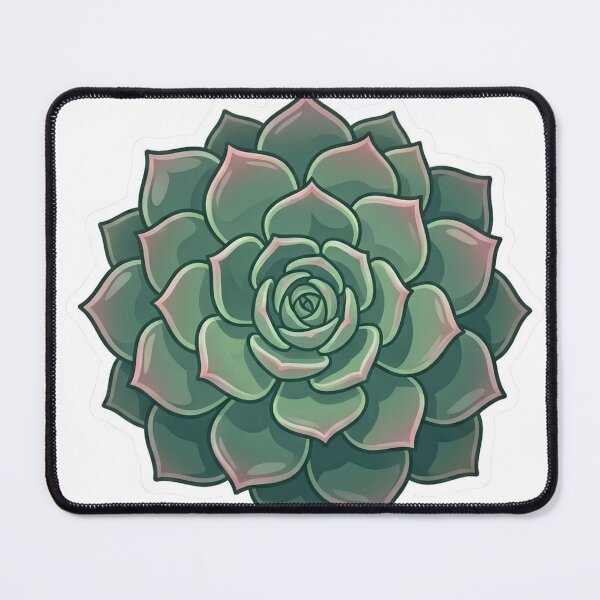 Item preview, Suculenta designed and sold by Emma0015.