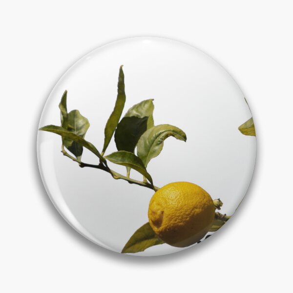 Item preview, A lemon tree with green leaves and a yellow lemon on a white background. designed and sold by elopezstock.