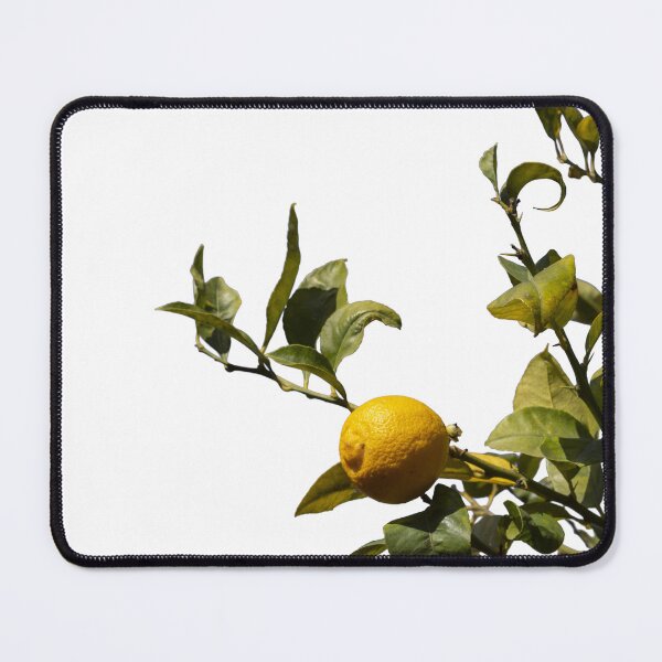 Item preview, A lemon tree with green leaves and a yellow lemon on a white background. designed and sold by elopezstock.