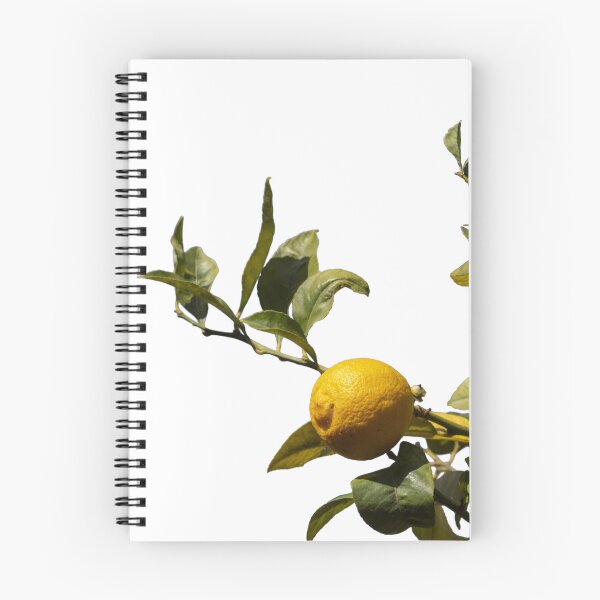 Item preview, A lemon tree with green leaves and a yellow lemon on a white background. designed and sold by elopezstock.