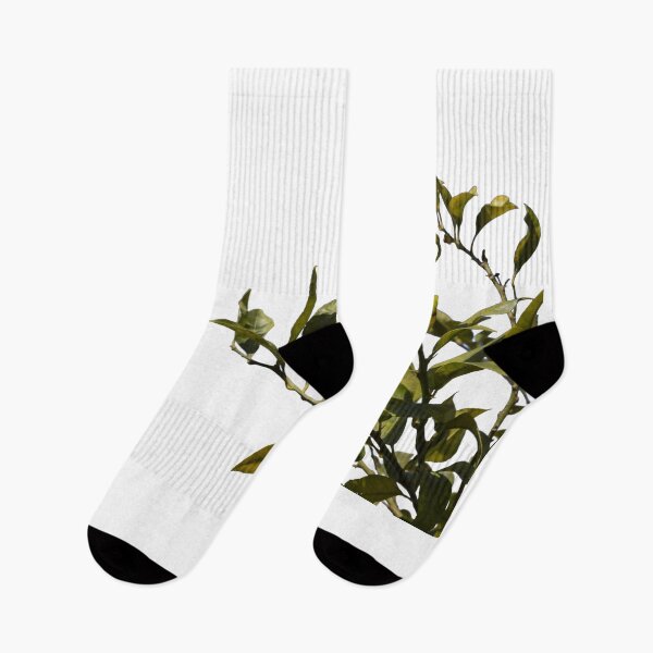 Item preview, A lemon tree with green leaves and a yellow lemon on a white background. designed and sold by elopezstock.