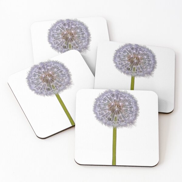 Item preview, Dandelion seed head with seeds expanding on a transparent background designed and sold by elopezstock.