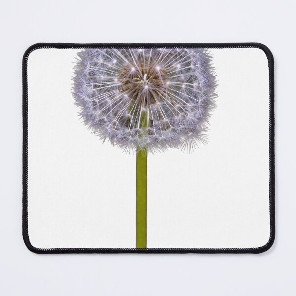 Item preview, Dandelion seed head with seeds expanding on a transparent background designed and sold by elopezstock.