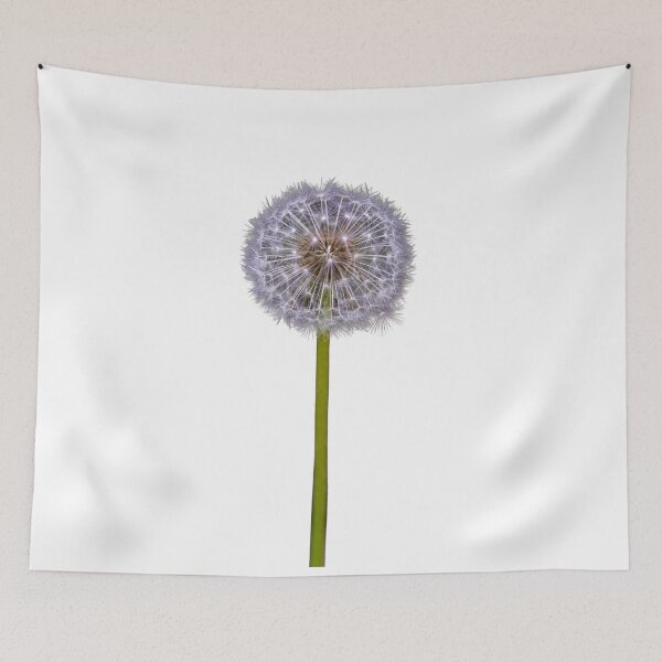 Item preview, Dandelion seed head with seeds expanding on a transparent background designed and sold by elopezstock.
