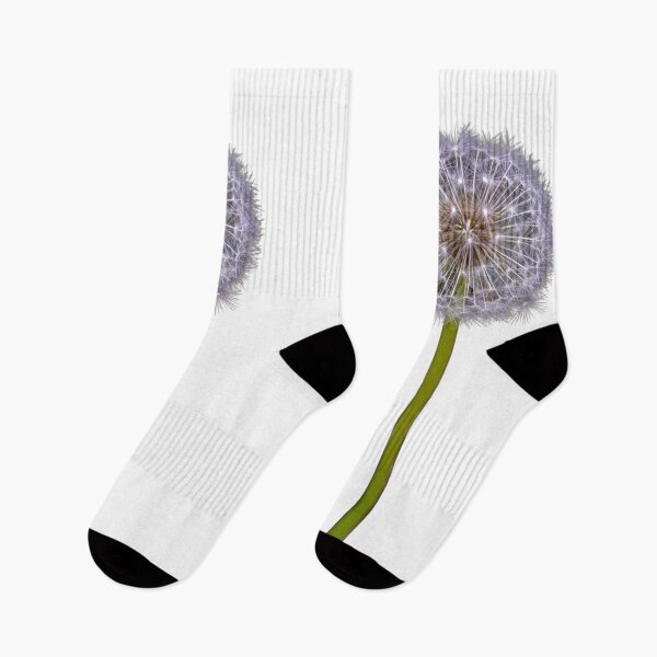Item preview, Dandelion seed head with seeds expanding on a transparent background designed and sold by elopezstock.