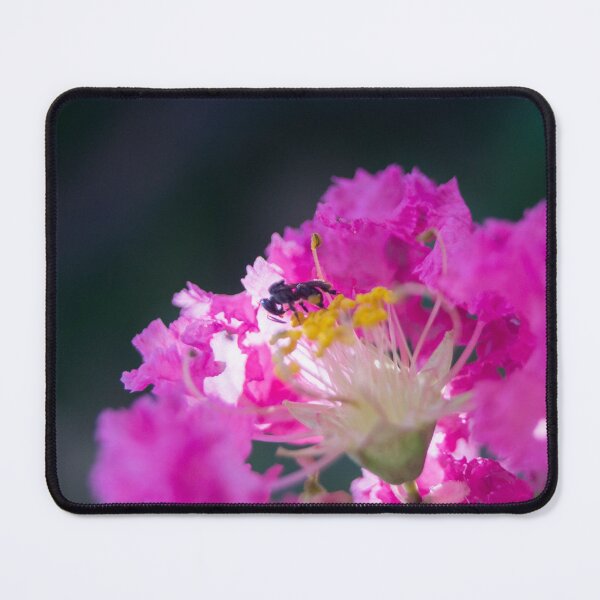 Item preview, Stingless Bee_02 designed and sold by ROSE ANN BANILAR.