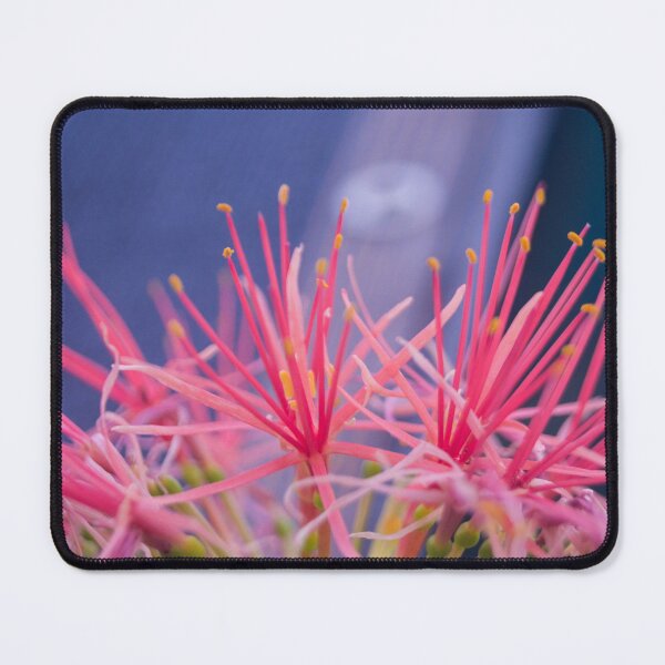 Item preview, Blood Lily designed and sold by ROSE ANN BANILAR.