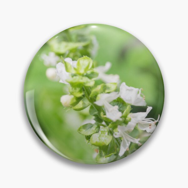 Item preview, Basil Flowers_02 designed and sold by ROSE ANN BANILAR.