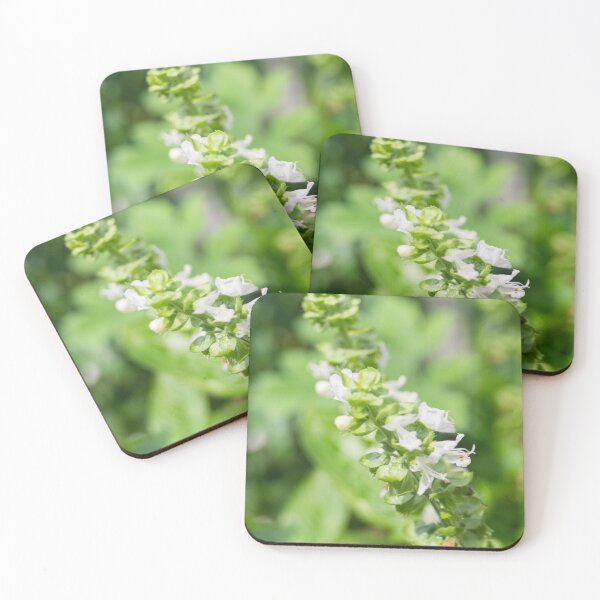 Item preview, Basil Flowers_02 designed and sold by ROSE ANN BANILAR.