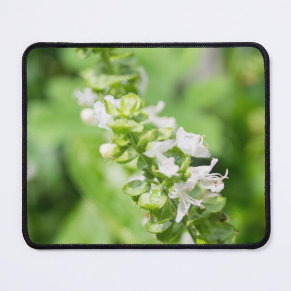 Item preview, Basil Flowers_02 designed and sold by ROSE ANN BANILAR.