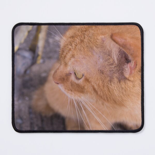 Item preview, Orange Tabby Cat designed and sold by ROSE ANN BANILAR.