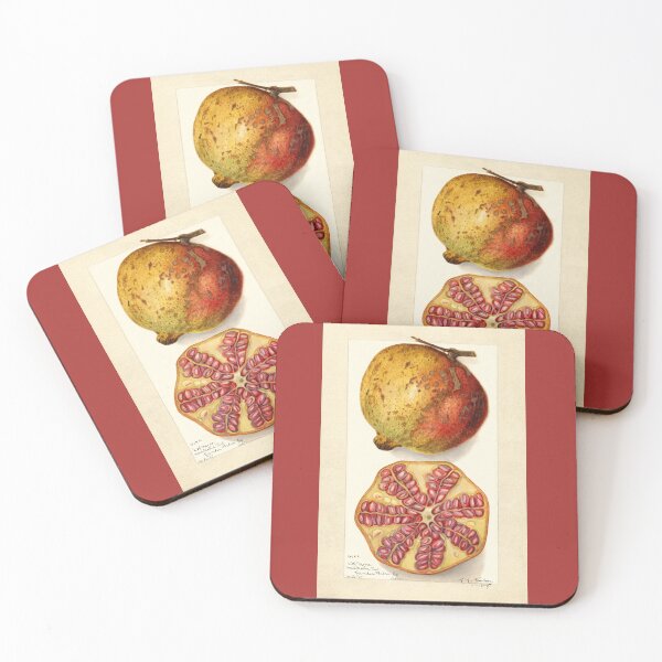 Item preview, Pomegranate Vintage Botanical Art 1907 designed and sold by Glimmersmith.