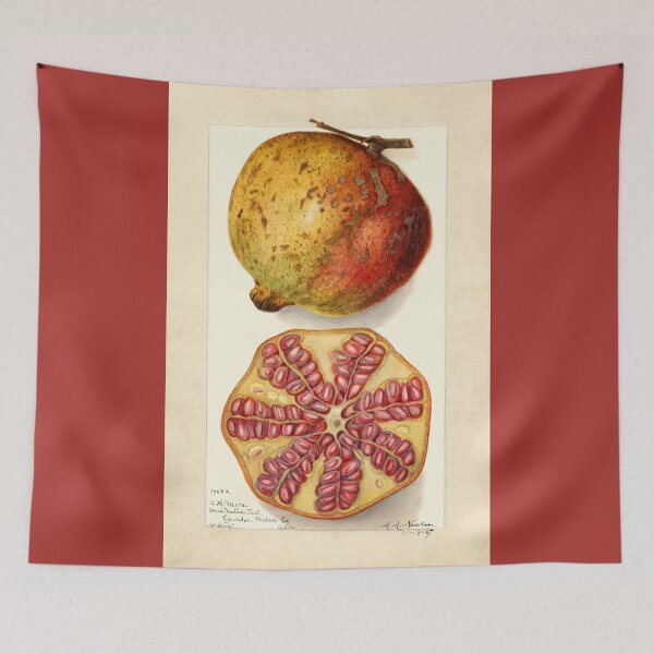 Item preview, Pomegranate Vintage Botanical Art 1907 designed and sold by Glimmersmith.