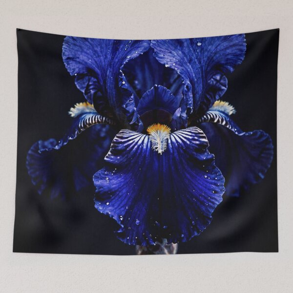 Item preview, Dark Iris in the Light designed and sold by CunningMaskPrints.