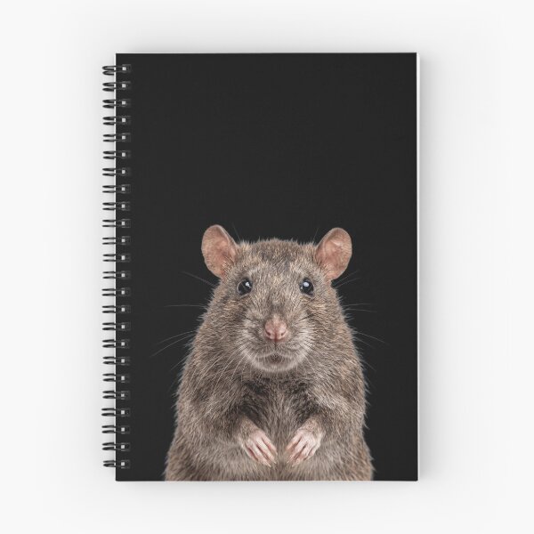 Item preview, Cute Baby Rat for Rat lovers designed and sold by RareLavender.