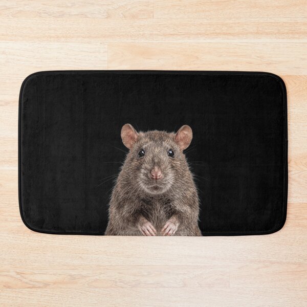 Item preview, Cute Baby Rat for Rat lovers designed and sold by RareLavender.