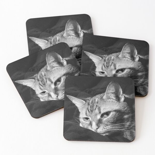 Item preview, B&W Cat Photo Deep in Thought designed and sold by Hey Life  Vibes.