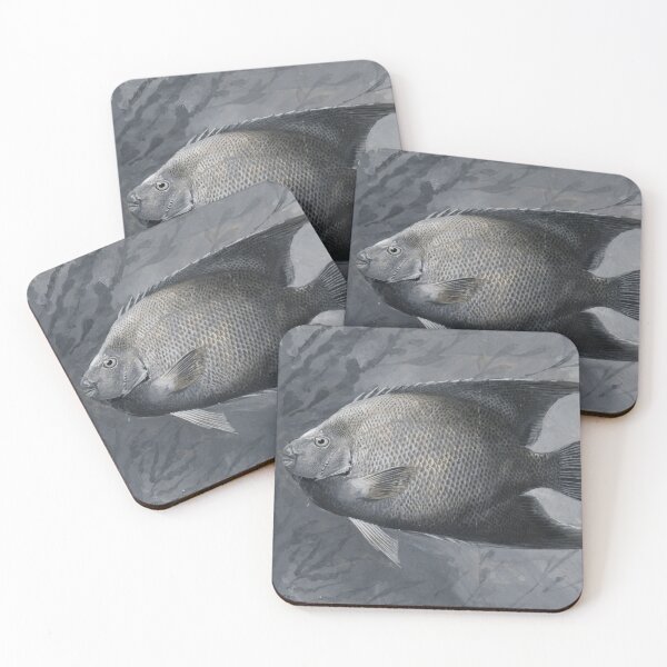 Item preview, Vintage Angelfish Underwater Study designed and sold by Ariadne-Creates.