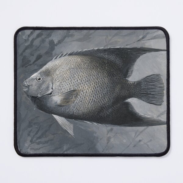 Item preview, Vintage Angelfish Underwater Study designed and sold by Ariadne-Creates.
