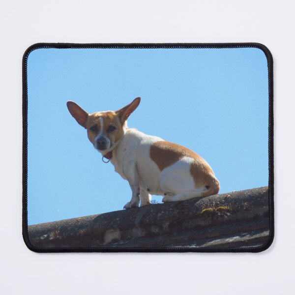 Item preview, Neighbourhood Watch designed and sold by wiggyofipswich.