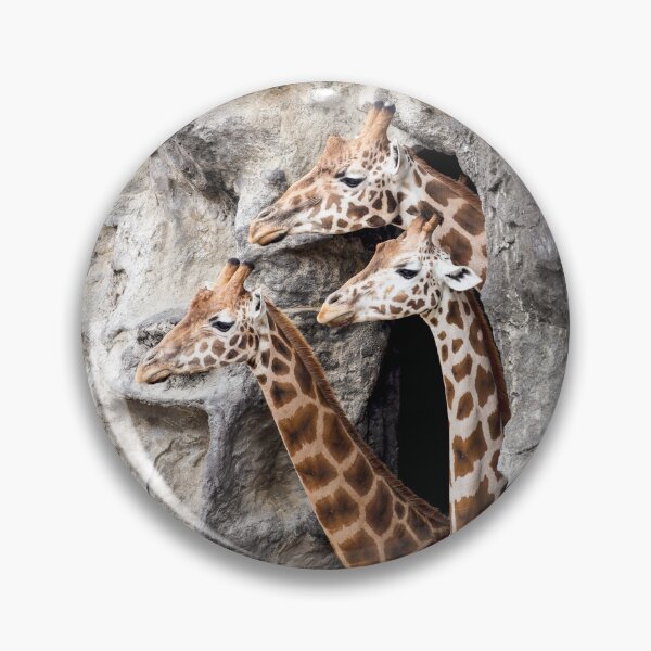 Item preview, Trio of Giraffes designed and sold by Siene Browne.