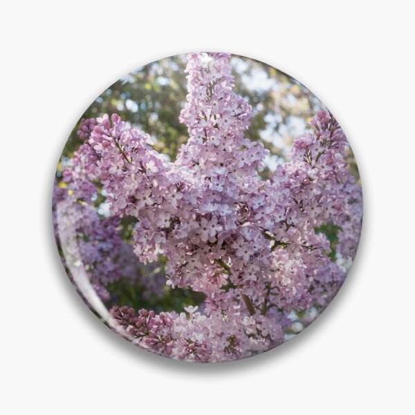 Item preview, Blooming Fragrant Lilac Bush in Sunlight designed and sold by Georgia Mizuleva.