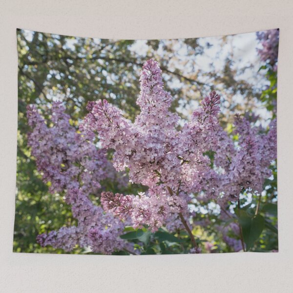 Item preview, Blooming Fragrant Lilac Bush in Sunlight designed and sold by Georgia Mizuleva.