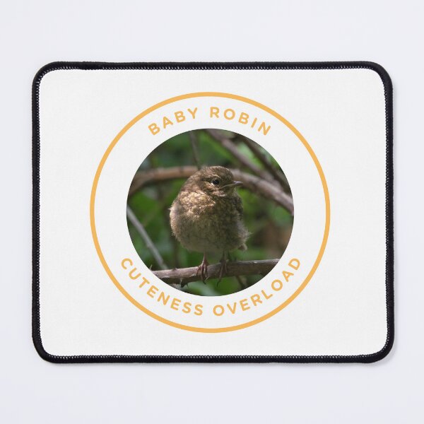 Item preview, Baby Robin - Cuteness Overload designed and sold by KM Wong Photography.