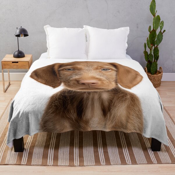 Item preview, Adorable Wirehaired Vizsla puppy for Cute Hungarian Wirehaired Vizsla puppy lovers designed and sold by LazyOwlStore.