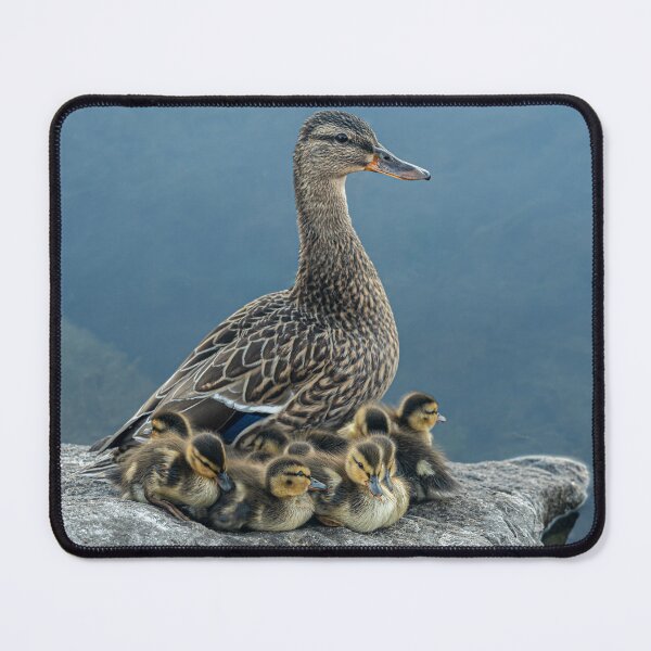 Item preview, Mother Duck and Ducklings designed and sold by MariaAbaza.